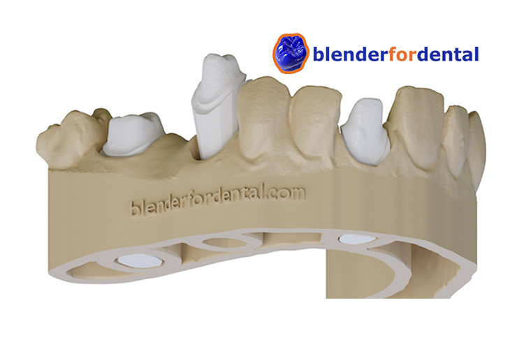 blender_for_dental_model_and_logo
